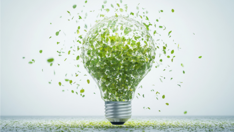 Leia mais sobre o artigo O papel do professor na transição energética: educar para transformar