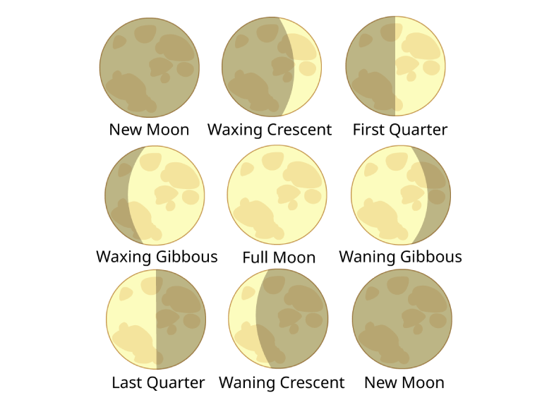 No momento, você está visualizando Fases Lunares